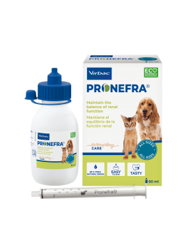 Pronefra
