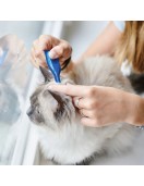 Beaphar CatComfort Calming Spot On успокояващи капки с феромони за котки - Анти-стрес продукти