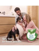 Beaphar Toothpaste, 100мл Дентална грижа Шaмпоан Beaphar с Алое Вера за черна козина, 250мл Шампоани и балсами