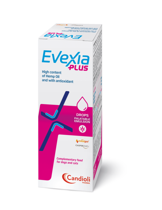 Evexia Plus - сироп - Хранителни добавки