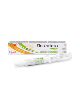 Florentero Act - паста