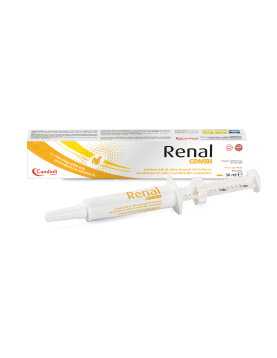Renal Combi - паста