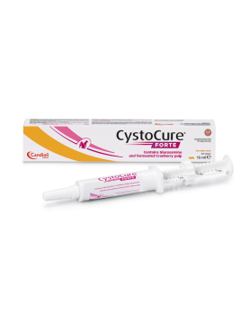 Cystocure Forte - таблетки - Грижа за бъбреците и уринарния тракт