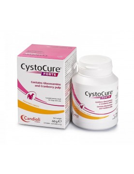 Cystocure Forte - таблетки