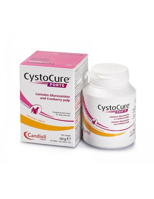 Cystocure Forte - таблетки - Грижа за бъбреците и уринарния тракт