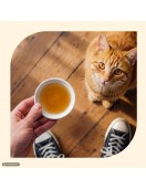 Carny Cat Drink Chicken - напитка за котки с пиле, 140мл - Консервирани храни