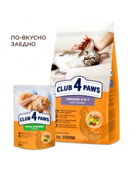 Club 4 Paws Cat Adult Indoor 4 in 1
