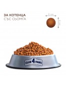 Club 4 Paws CAT Kitten Salmon - Сухи храни