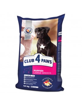 Club 4 Paws Dog Large Puppy