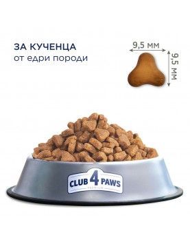 Club 4 Paws Dog Large Puppy