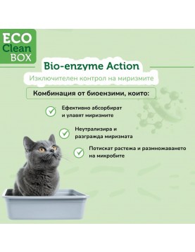 Clean Box Тофу 10кг/24л - зелен чай