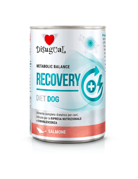 Disugual Metabolic Balance DOG RECOVERY Salmon - 400г