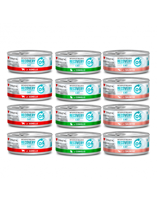 Disugual Metabolic Balance CAT Recovery Lamb - 85г - ВЕТЕРИНАРНИ ДИЕТИ