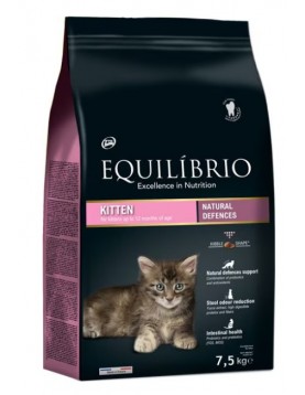 Equilibrio Kitten