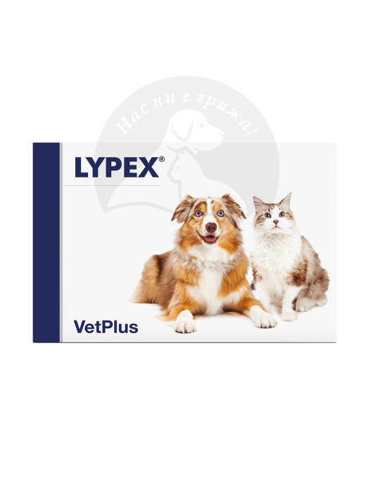 Lypex - капсули - Хранителни добавки