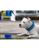 Охлаждащ нашийник Pro Tech Freedog - Поводи, нашийници, нагръдници