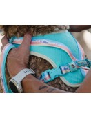 Охлаждащ нагръдник Peak Freedog - Поводи, нашийници, нагръдници