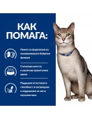 Hill`s Prescription Diet Feline K/d Beef - кутия с 12 пауча х 85г - Грижа за бъбреците и уринарния тракт