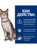 Hill`s Prescription Diet Feline K/d Beef - кутия с 12 пауча х 85г - Грижа за бъбреците и уринарния тракт