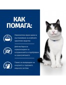 Hill’s Prescription Diet Feline I/d + Active Biome - Грижа за храносмилането