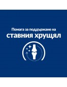 Hill’s Prescription Diet Canine J/d Joint Care - Грижа за костите и ставите
