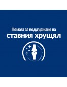 Hill’s Prescription Diet Feline J/d - Грижа за костите и ставите