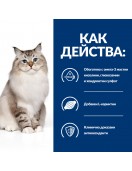 Hill’s Prescription Diet Feline J/d - Грижа за костите и ставите