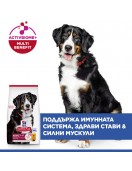 Hill's Science Plan Canine Adult Large Breed Chicken - Сухи храни