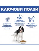 Hill's Science Plan Medium Adult Chicken Сухи храни Hill's Science Plan Medium Adult Chicken - Сухи храни