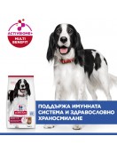 Hill’s Science Plan Canine Medium Adult Lamb&Rice Сухи храни Hill’s Science Plan Canine Medium Adult Lamb&Rice - Сухи храни