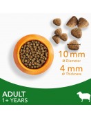 IAMS CAT Adult Lamb - Сухи храни