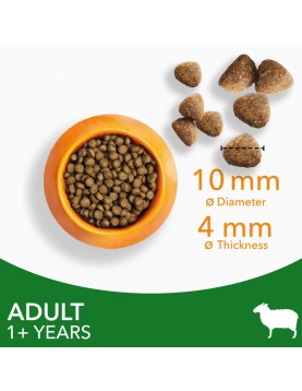 IAMS CAT Adult Lamb - Сухи храни