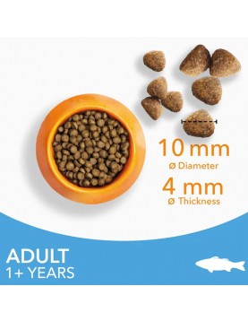 IAMS CAT Adult Ocean fish - Сухи храни
