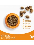 IAMS CAT Kitten Chicken - Сухи храни