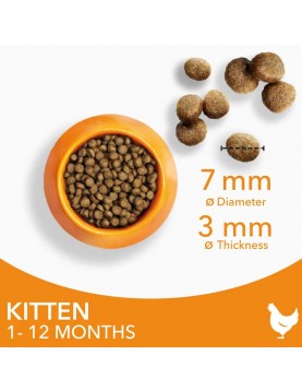 IAMS CAT Kitten Chicken