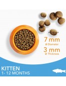 IAMS CAT Kitten Ocean fish - Сухи храни
