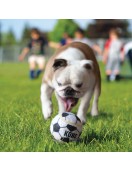 Kong Sport Balls Kong Sport Balls - Играчки за кучета