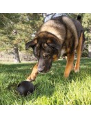 Kong Extreme Ball - Играчки за кучета