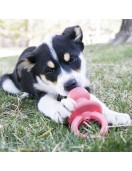 Kong Binkie Puppy Small - 