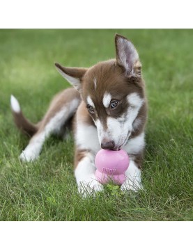 Kong Easy Treat (пълнител) Puppy 236мл