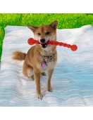 Kong Safe Stick S - Играчки за кучета