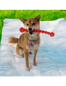 Kong Safe Stick S