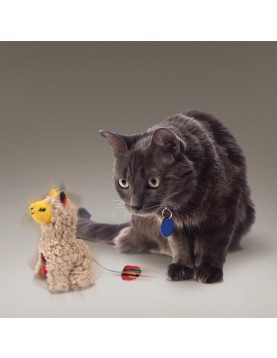 Kong CAT Softies Buzzy Lama