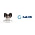 CALIER