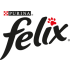 FELIX
