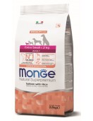 Monge Dog Monoprotein Extra Small Adult Salmon - 