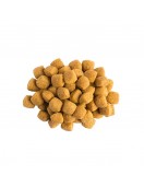Purina Pro Plan PVD Dog E/N Gastrointestinal - Грижа за храносмилането