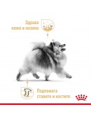 Royal Canin Yorkshire Adult Loaf Pouch Консервирани храни