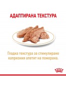 Royal Canin Yorkshire Adult Loaf Pouch Консервирани храни