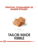 Royal Canin Bulldog Puppy - Сухи храни